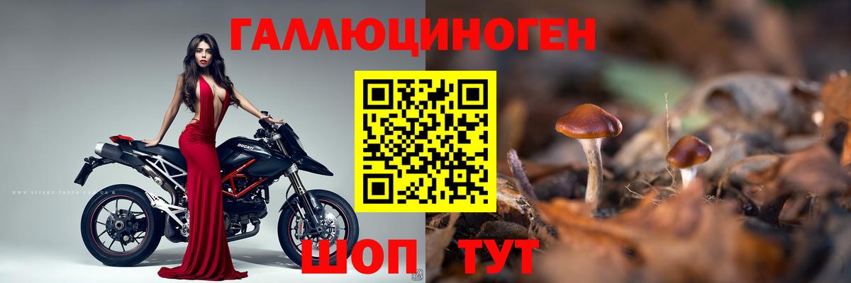 Псилоцибиновые грибы MAGIC MUSHROOMS  Вход с VPN  где купить   Каменск-Уральский 
